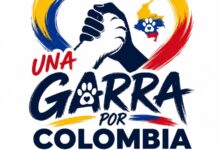 Terremoto también golpea a los animales: 1.870 están en refugios afectados y reportan 200 perros y gatos extraviados 14