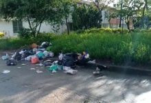 Crisis sanitaria en la ciudadela Comfenalco: amenazan con bloquear vías si no mejoran la recolección de basuras 14