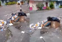 Comerciantes de la Comuna 2 convierten la calle décima de Ibagué en un basurero 14