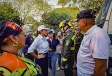 Mientras bomberos arriesgan la vida contra las llamas, investigan quemas que estarían provocando incendios en el Tolima 12