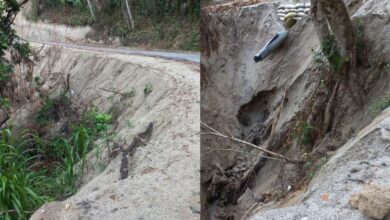 Veeduría de Ibagué denuncia graves daños ambientales en Calambeo y exige respuestas del municipio 8