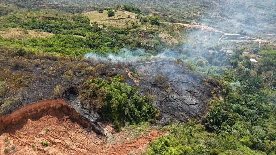 Alerta roja en Chaparral por incendio forestal que ya ha afectado más de 170 hectáreas 3