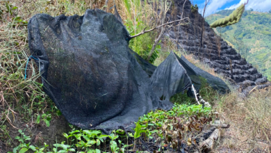 "El fuego acabó con nuestros sueños": campesino de Cajamarca pide ayuda tras perder gran parte de su finca en un incendio 20