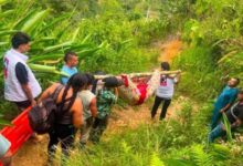 Heroico rescate: Personal de salud de El Líbano carga a hombros a paciente en la vereda Alto Cielo 14