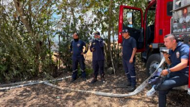 Bomberos controló incendio forestal registrado en el sector de Aparco 5