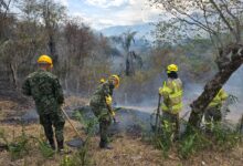 Más de 200 soldados completan una semana combatiendo incendios forestales en el Tolima 11