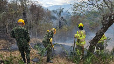 Más de 200 soldados completan una semana combatiendo incendios forestales en el Tolima 2