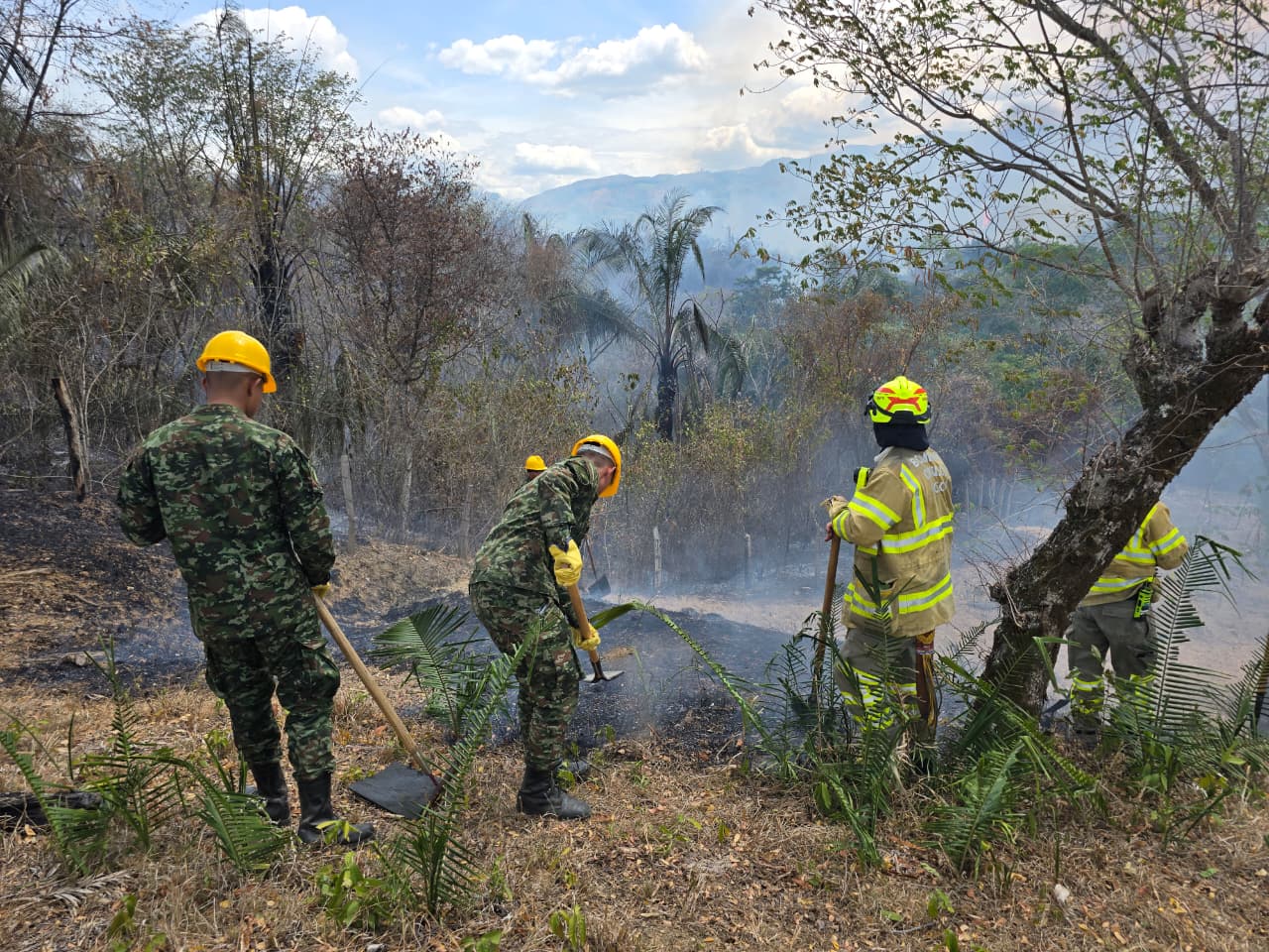 Más de 200 soldados completan una semana combatiendo incendios forestales en el Tolima 1
