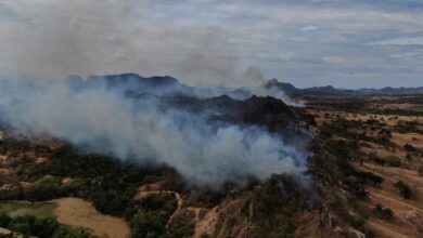 Cortolima realiza sobrevuelo para apoyar atención de incendios en Ortega 2
