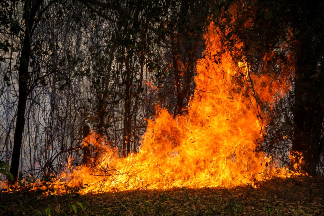 El Tolima reduce los incendios, pero enfrenta el reto de recuperar 11.000 hectáreas 1