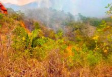 Alerta por incendio en el Cerro de Las Mercedes: fuego amenaza con extenderse a 5 municipios 15