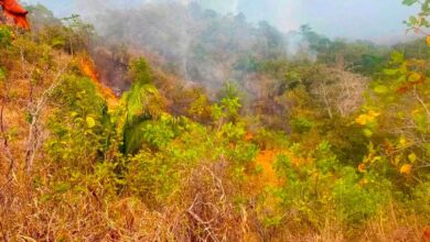 Alerta por incendio en el Cerro de Las Mercedes: fuego amenaza con extenderse a 5 municipios 1