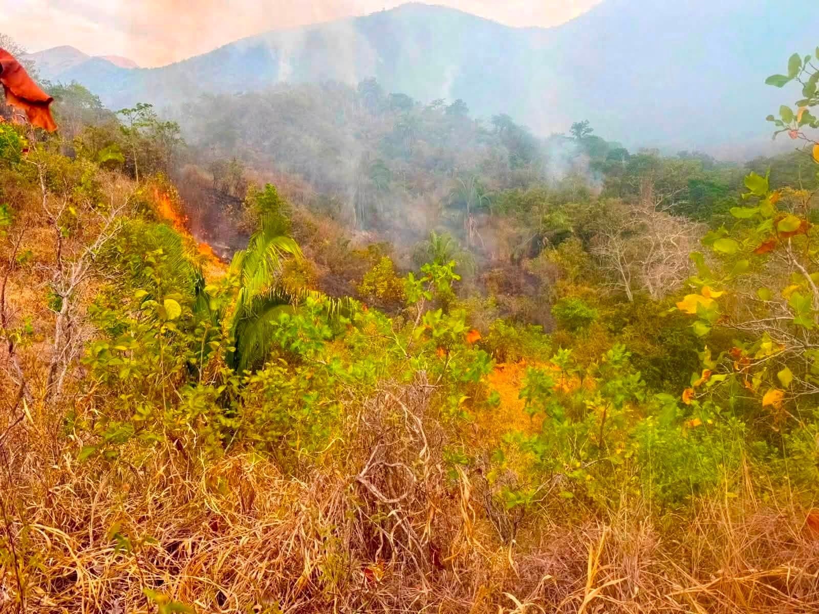 Alerta por incendio en el Cerro de Las Mercedes: fuego amenaza con extenderse a 5 municipios 5
