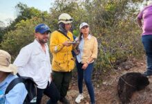 El Tolima sigue bajo el fuego y la gobernadora Adriana Magali Matiz pide ayuda urgente al país 15