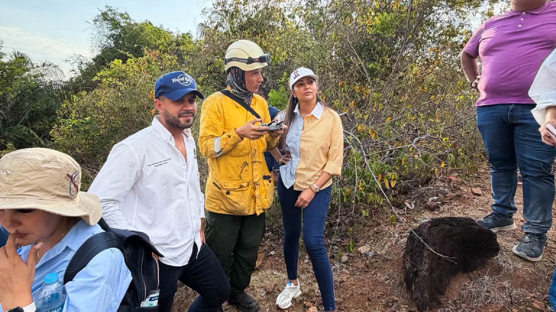 El Tolima sigue bajo el fuego y la gobernadora Adriana Magali Matiz pide ayuda urgente al país 5