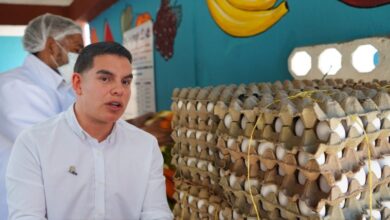 PAE llega a estudiantes que permanecen en casa tras el sismo: 1.385 niños reciben canastas alimentarias en el Tolima 5