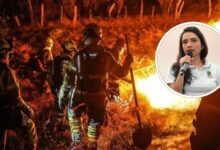 "No quememos nada": Llamado de la Secretaría de Salud de Ibagué por la calidad del aire y los incendios 14
