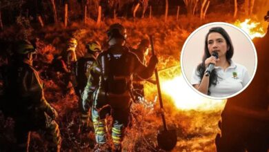 "No quememos nada": Llamado de la Secretaría de Salud de Ibagué por la calidad del aire y los incendios 2