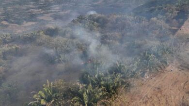Alerta por incendios en el Tolima: en tiempo récord ya superan la mitad de lo registrado en 2016 2