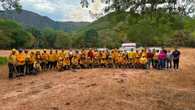 60 bomberos combaten incendio en el Cerro Las Mercedes, en límites entre Carmen de Apicalá y Suárez 2