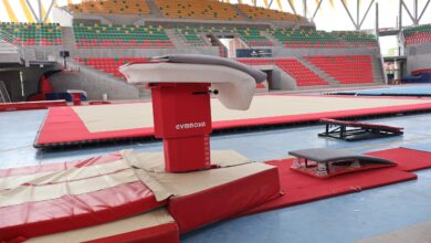 Ibagué recibe durante dos semanas a la gimnasia colombiana 2
