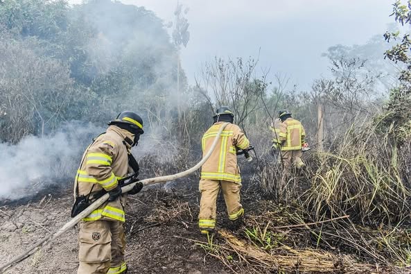Bombero permaneció desaparecido durante una hora en medio del incendio que consume el resguardo Meche San Cayetano 1