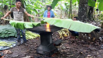 La crisis de la hoja de cachaco queda al descubierto en medio del incendio que consume más de 500 hectáreas en Coyaima 6
