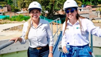 Érika Palma deja la Gerencia de Proyectos Estratégicos de Ibagué: su renuncia será efectiva el 18 de agosto 5