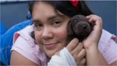 “La Huérfana” de la vida real: mujer de 37 años fingió ser una niña y engañó a varias familias 2