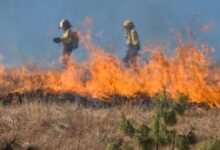 El Tolima mantiene dos incendios activos, pero persiste la alerta en 33 municipios 14