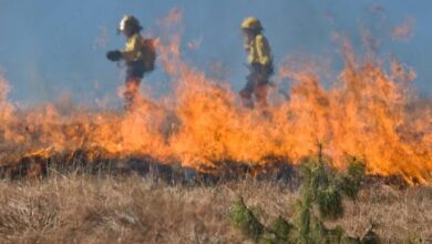 El Tolima mantiene dos incendios activos, pero persiste la alerta en 33 municipios 5