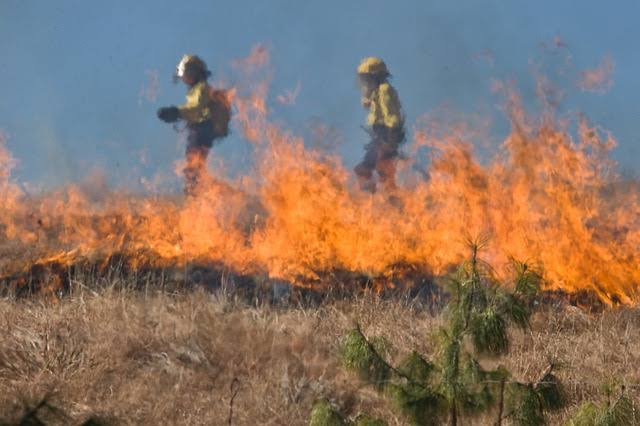 El Tolima mantiene dos incendios activos, pero persiste la alerta en 33 municipios 1