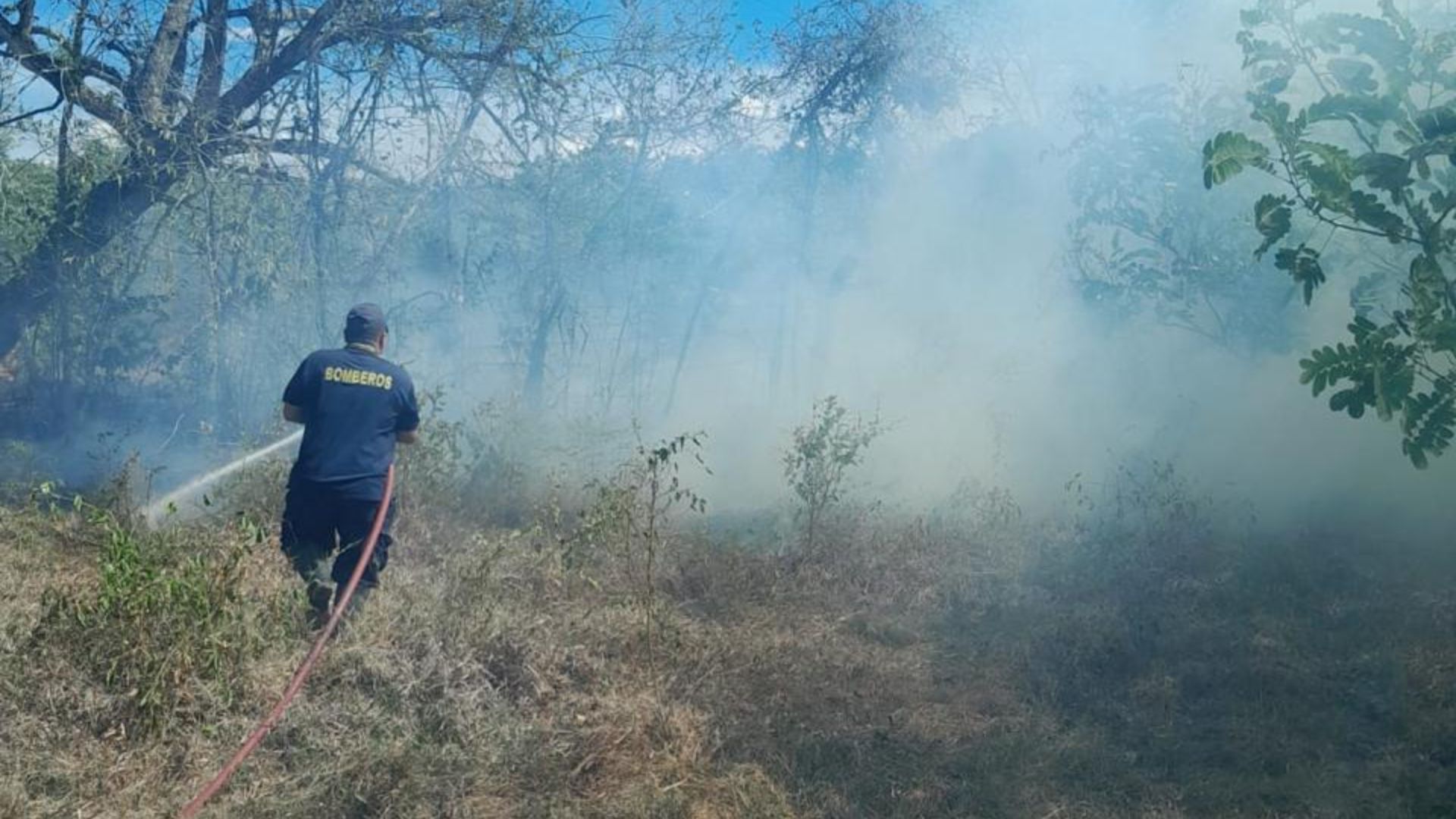 “Están perdiendo todo”: más de 36 incendios mantienen en alerta al Tolima y piden ayuda para las comunidades afectadas 9