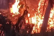Dos familias fueron evacuadas mientras el incendio avanzaba hacia sus viviendas en Coyaima 11