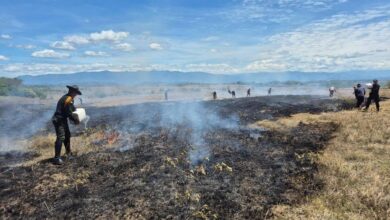 Ocho días de incendio: más de 500 hectáreas han sido consumidas por las llamas en Coyaima 5