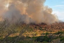 Refuerzo aéreo llega a Ortega para combatir incendios forestales que consume la población desde hace 5 días 12