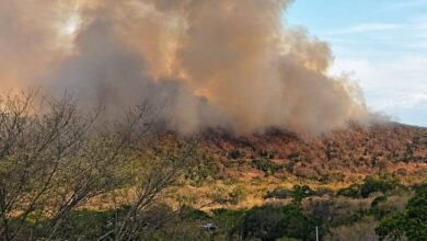 Refuerzo aéreo llega a Ortega para combatir incendios forestales que consume la población desde hace 5 días 3