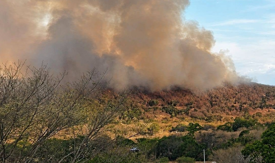 Refuerzo aéreo llega a Ortega para combatir incendios forestales que consume la población desde hace 5 días 1