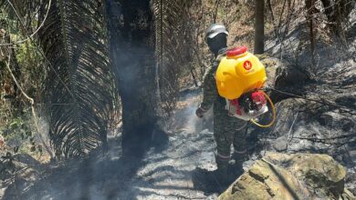 Amenaza con dron obligó a retirar a brigada del Ejército que combatía incendio en Suárez 2