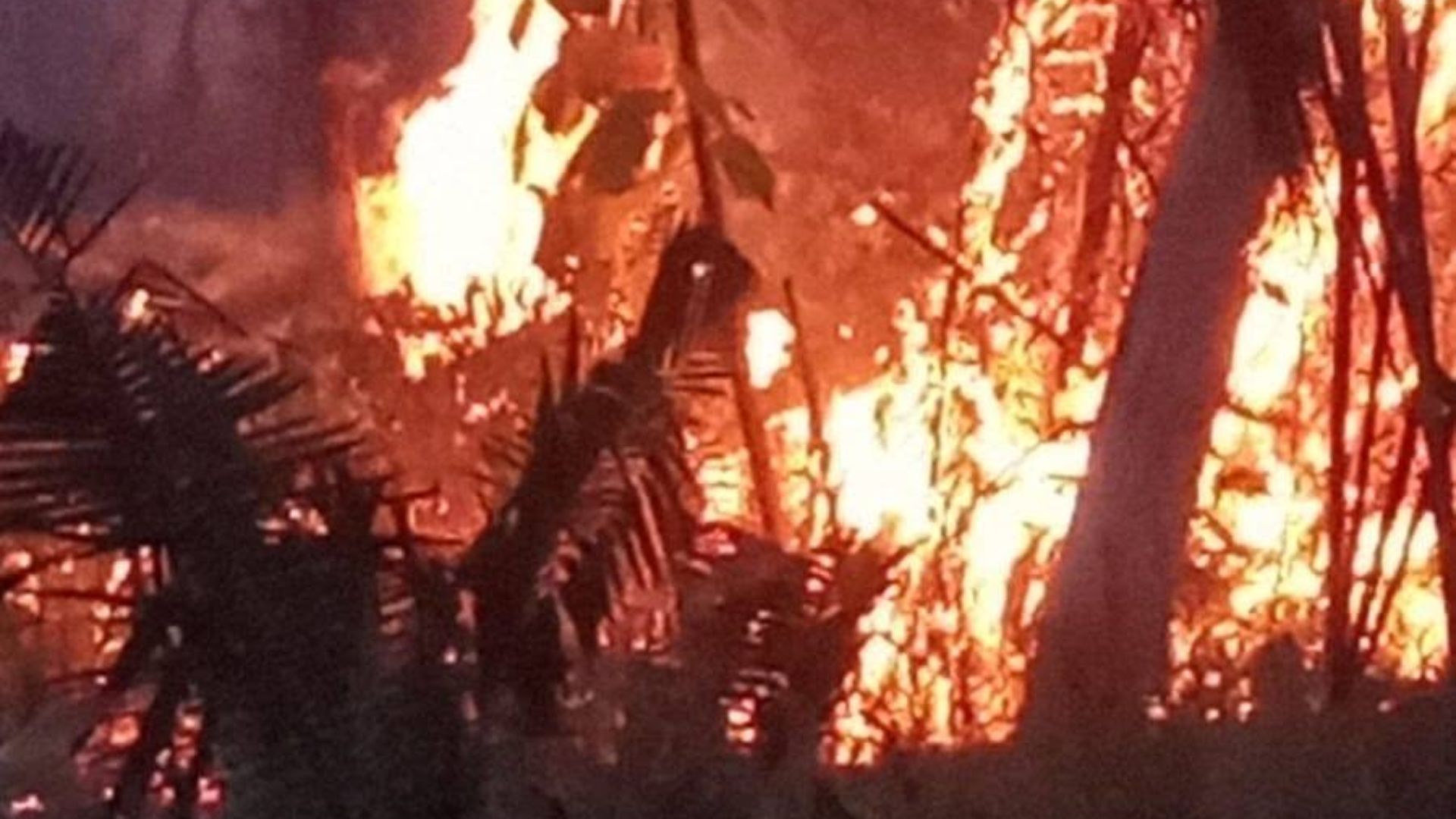 Dos familias fueron evacuadas mientras el incendio avanzaba hacia sus viviendas en Coyaima 1