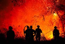 Grupo élite investigará los incendios provocados en Tolima 15