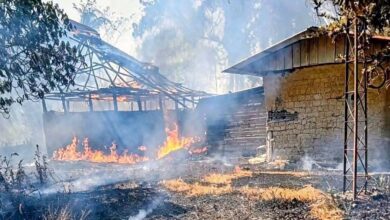 ¡El Tolima está en llamas! Incendios ya dejan más de 31.000 hectáreas afectadas 2