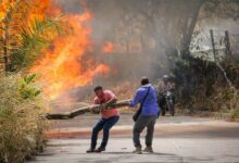 Subió a 16 el número de incendios activos en Tolima 16