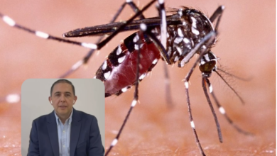dengue