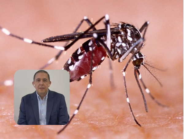 dengue