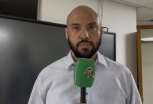 gobernadora