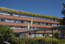 fundación