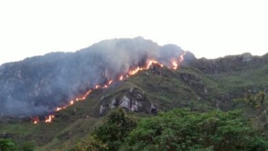 Diputado Mauricio Ortiz pide preparar al Tolima para nuevos incendios y anuncia proyecto de ordenanza 5
