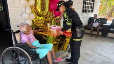 celebración
