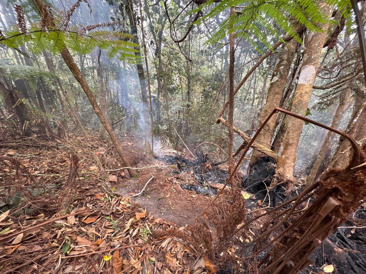 incendio